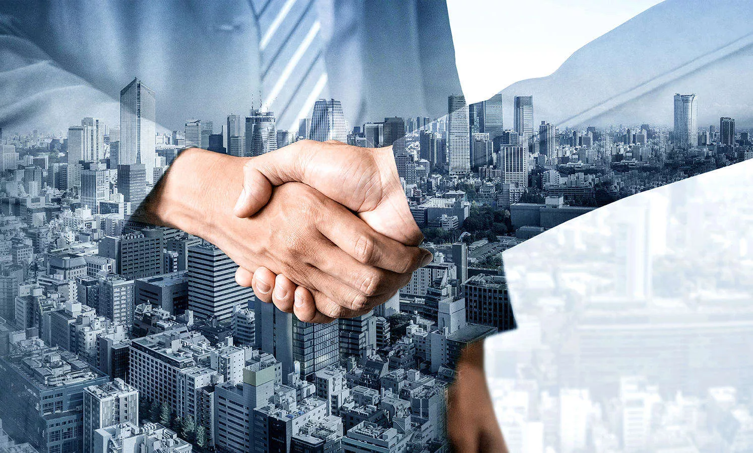 Get in touch with the Pepler Lee Group
